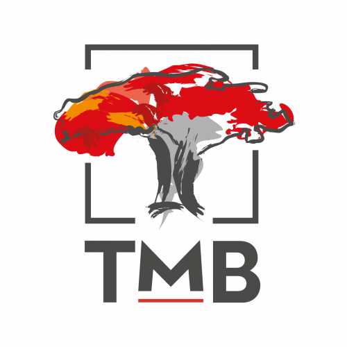 TRUST MERCHANT BANK TRUST MERCHANT BANK