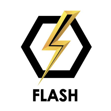 FLASH FLASH
