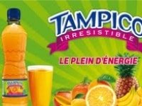 IBC INDUSTRIES DES BOISSONS AU CONGO