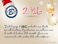 IBC INDUSTRIES DES BOISSONS AU CONGO