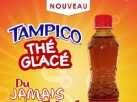 IBC INDUSTRIES DES BOISSONS AU CONGO