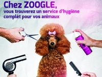 ZOOGLE