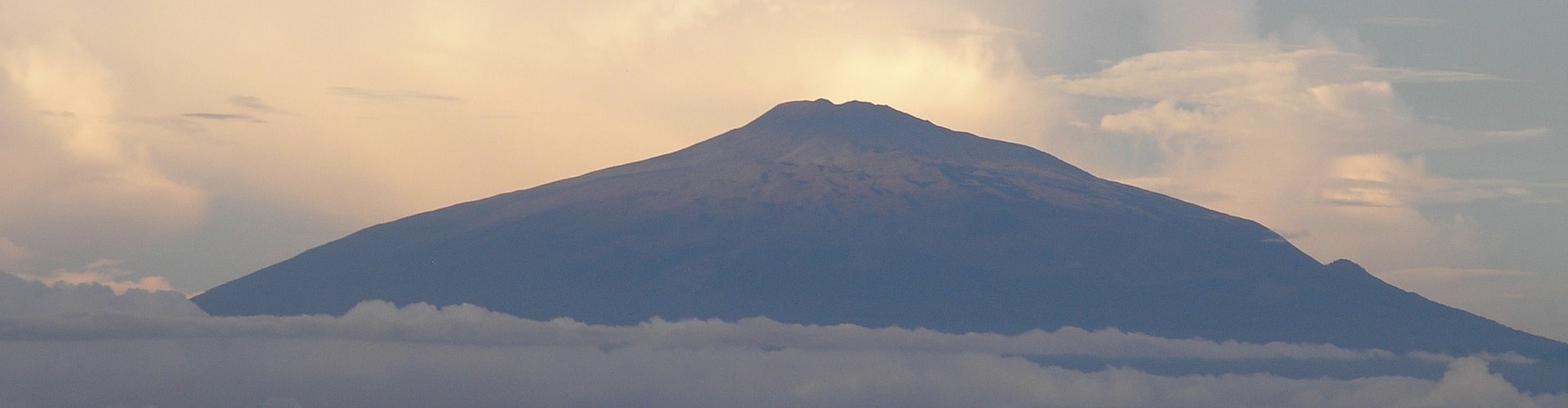 Bannière