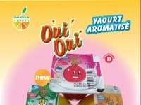 GHANDOUR FOODS CONGO Yaourt aromatisé
