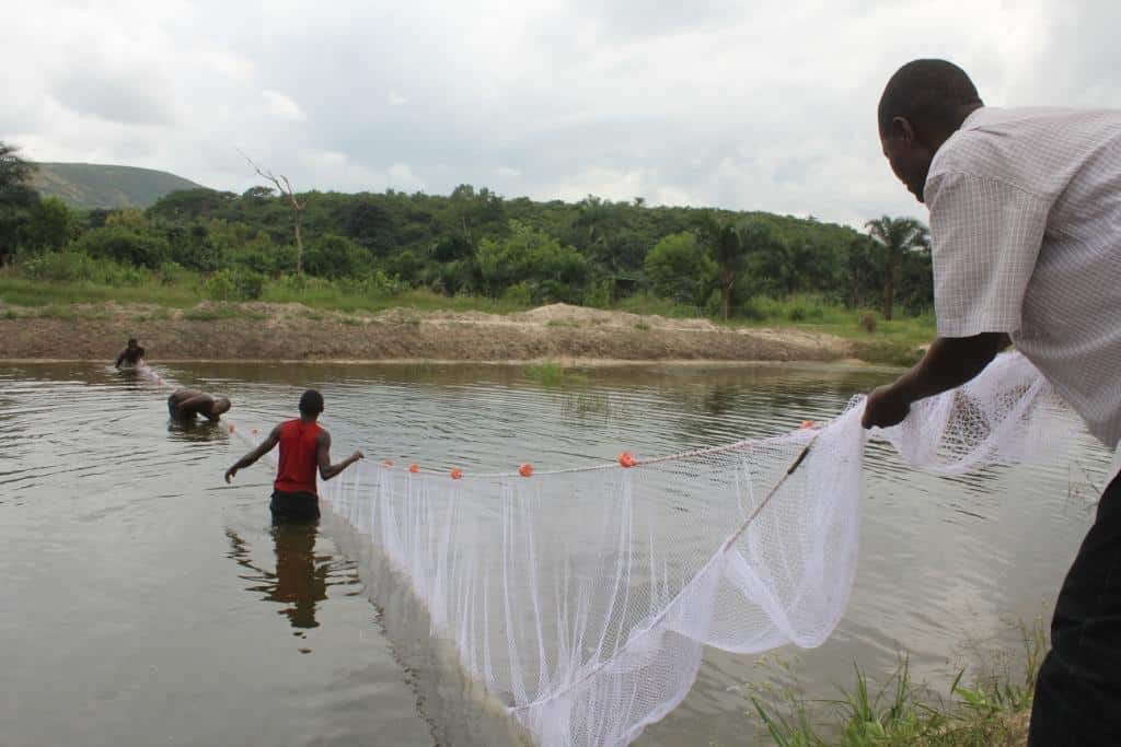 ETEC ENVIRONNEMENT Pisciculture