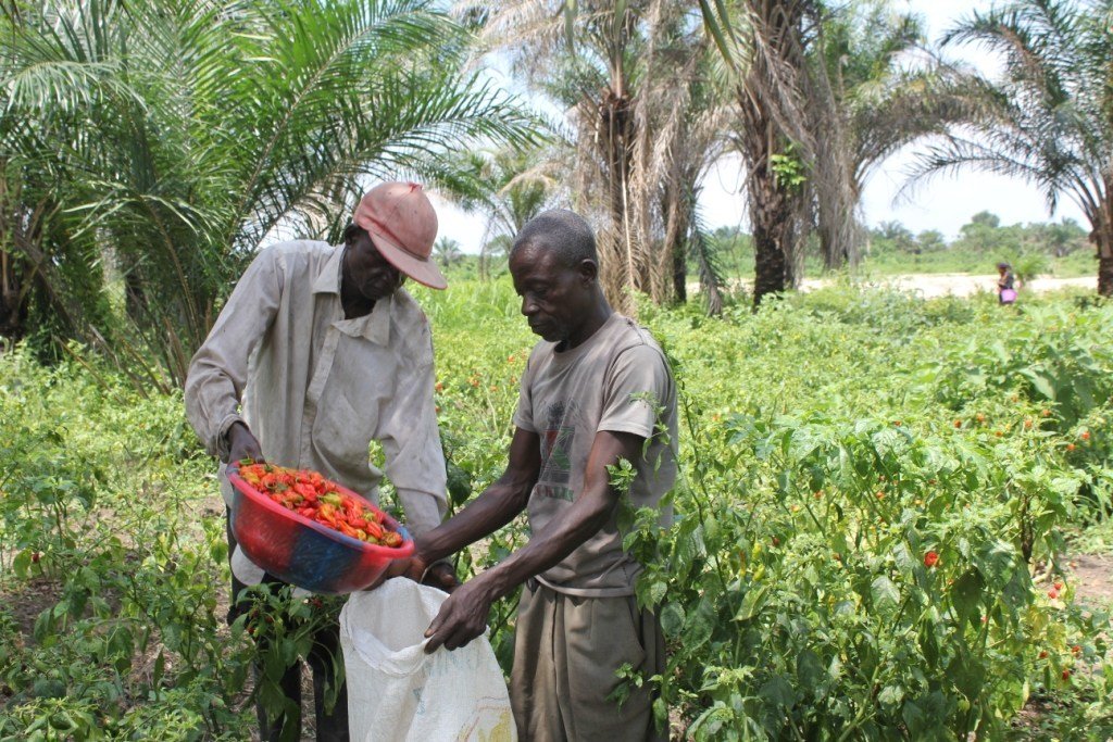 ETEC ENVIRONNEMENT Une agriculture riche en bio-diversité