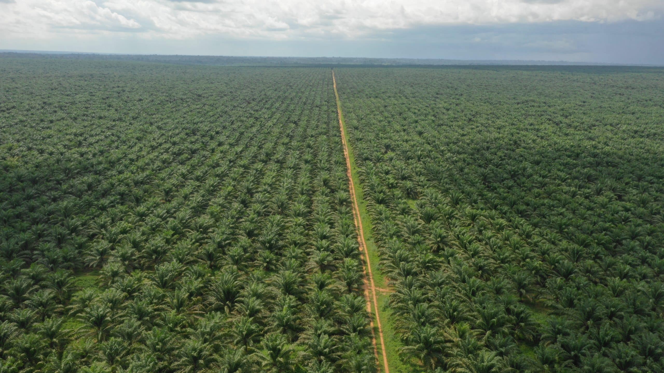 Plantation