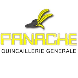 GROUPE CHANIC