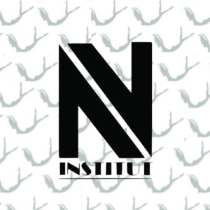 NV INSTITUT