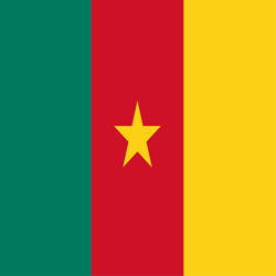 AMBASSADE DU CAMEROUN
