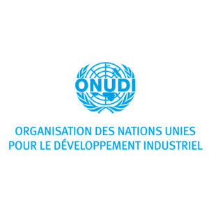 ORGANISATION DES NATIONS UNIES POUR LE DEVELOPPEMENT INDUSTRIEL