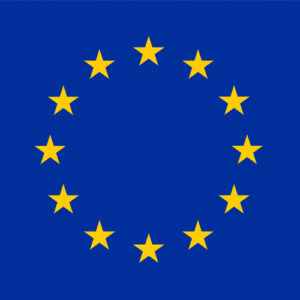 DELEGATION DE L UNION EUROPEENNE