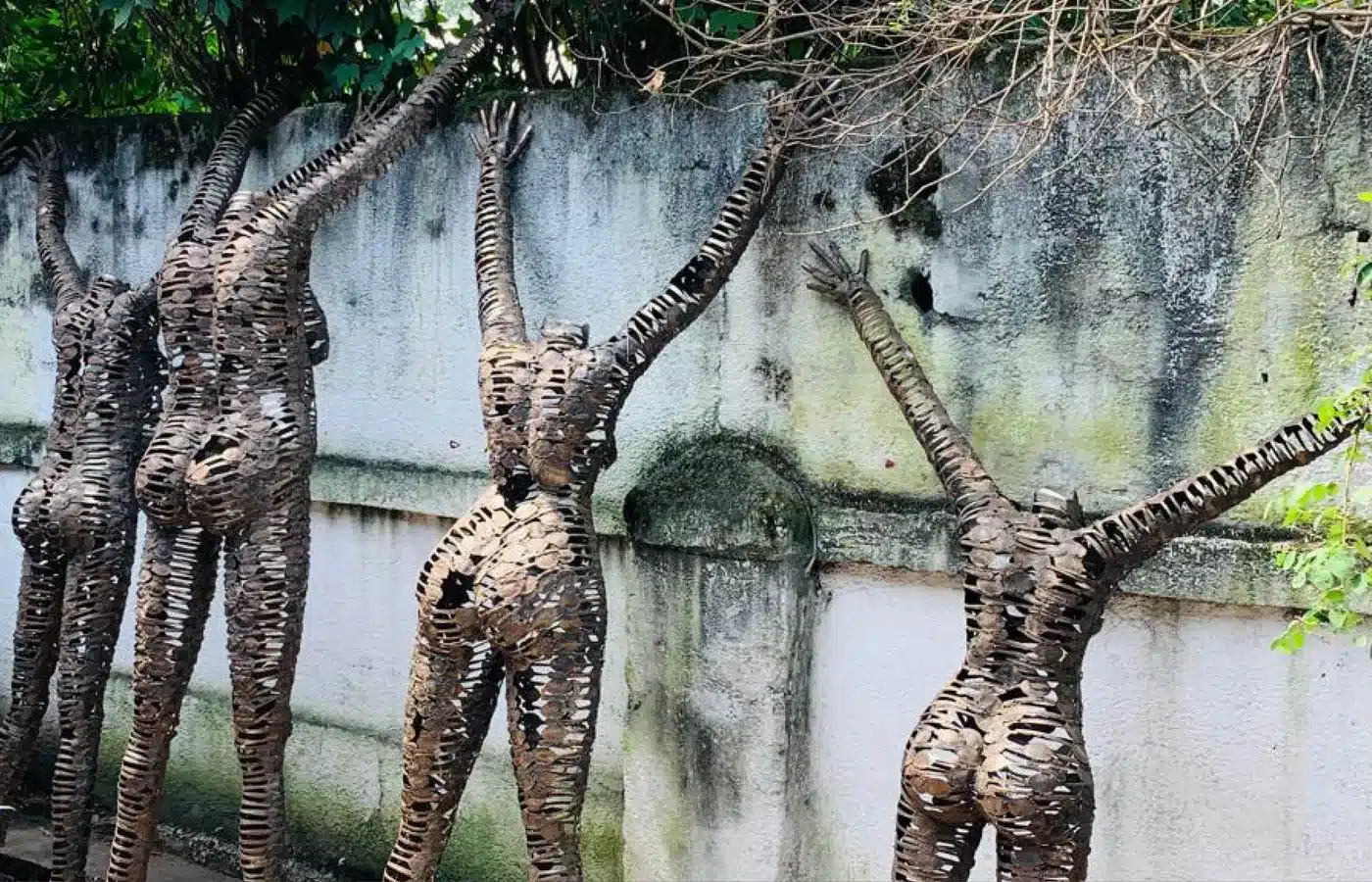 Désarmer la violence