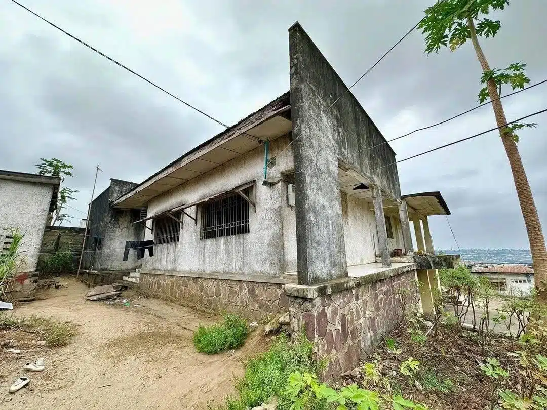Vente de cette parce dans la commune de Mont Ngafula Maman Koko